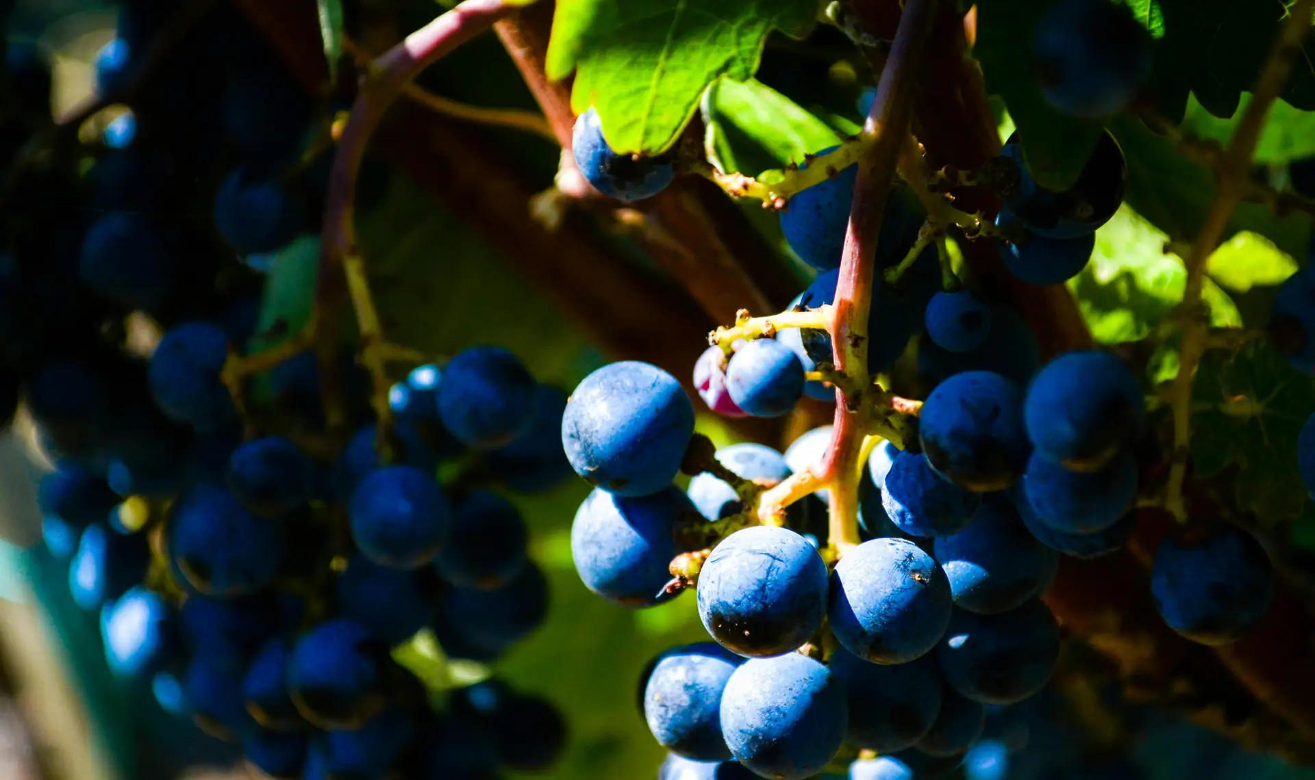 Find biblical teaching and involved community at Friendship ATL