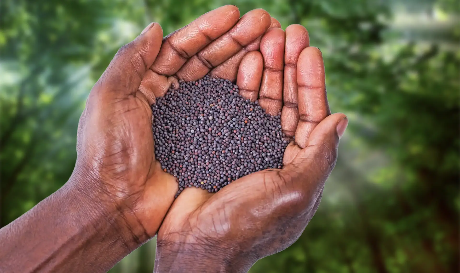 "For truly I tell you, if you have faith the size of a mustard seed, you will say to this mountain, 'Move from here to there,' and it will move; and nothing will be impossible for you." - Mark 17:20-21